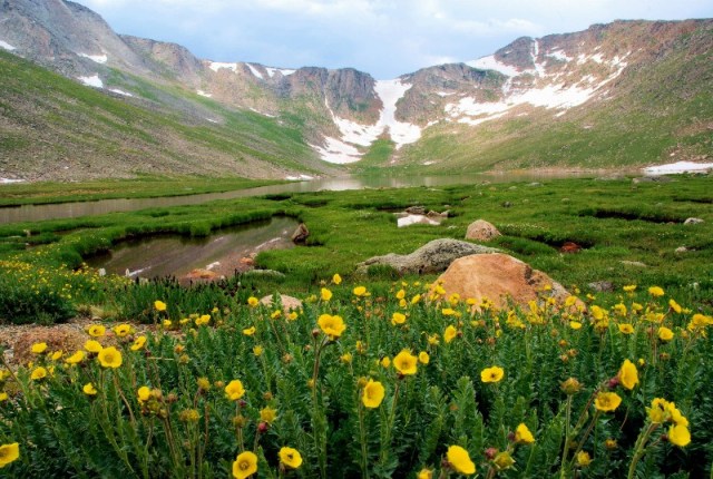 12Copy of RMNPMarmMtEvans 176