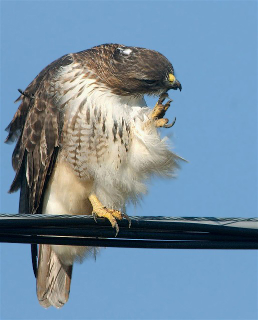 21Copy of Rtail70 21051