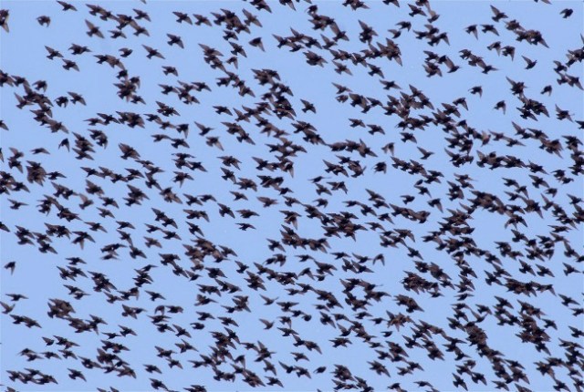 25Copy of Copy of DSC_5636b