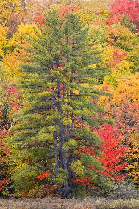 2HoveyLakeJohnGerlach