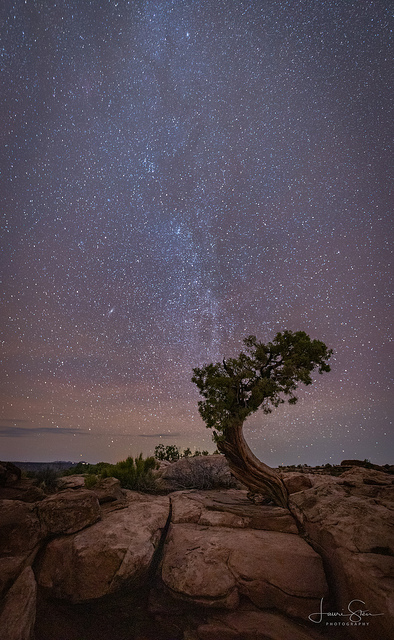1lauristendeadhorsecanyonsputah
