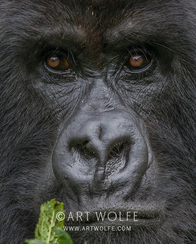 5a54432563_10218892208644540_4428309701075140608_n