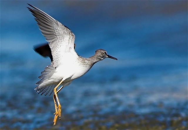 3Copy of DSC_2719-01b