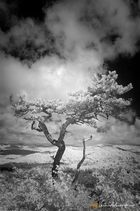 1KarenHamiltonAshworthBlue Ridge Parkway