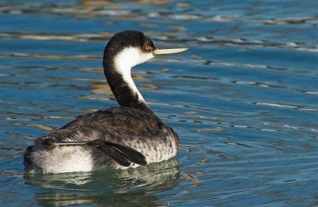 8Copy of DSC_8606-01