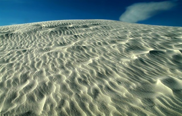 6Copy of DSC_0220blog