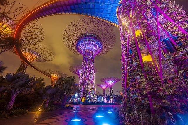 1Garden by the bay Singapore Jim 1Zuckerman