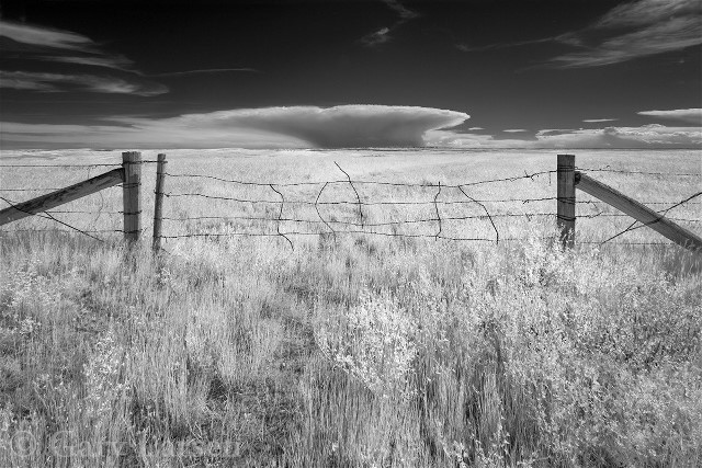 2NebraskaGary E. Larsen