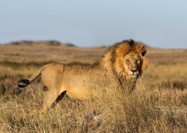 3a48670775912_d1f532f6dc_z