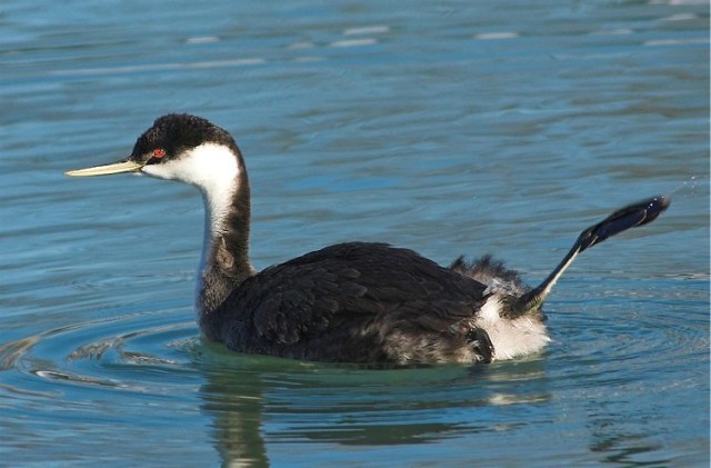 6Copy of DSC_8614-01