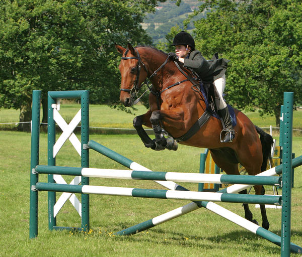 4sports-photography21-300x256@2xhorsejumping