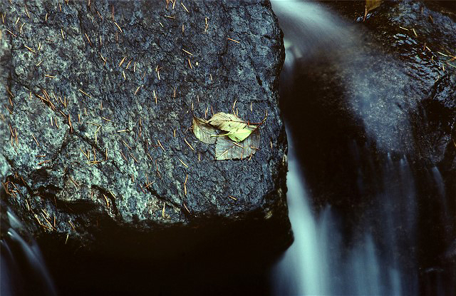 15MoreSlides 027 - Copy