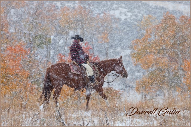 1DarellGulinCowgirl Wyoming