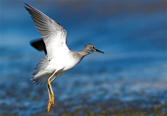 1Copy of DSC_2719-01b