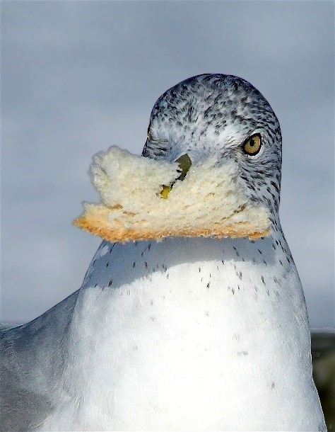 4Copy of DSC_8800-01