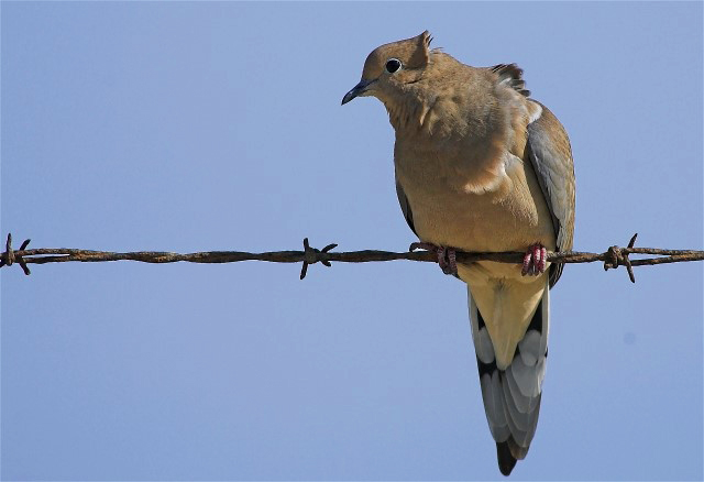 6Copy of DSC_3445-01b